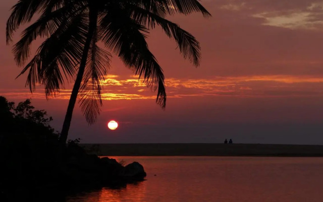 Ocean Green Kerala