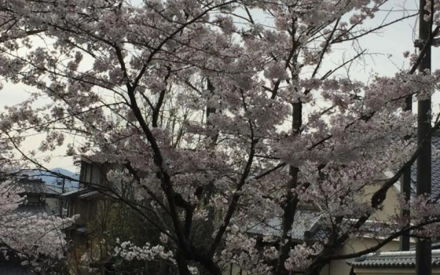 Ryokan Uemura