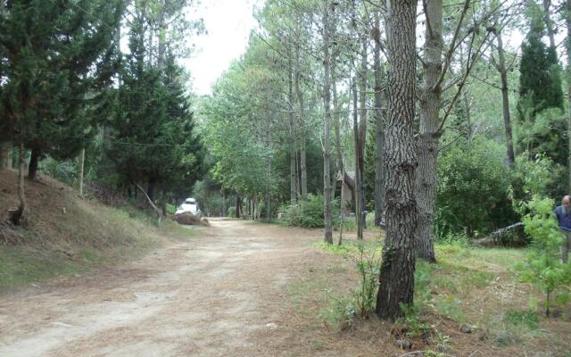 Patagonia Playa Cielo