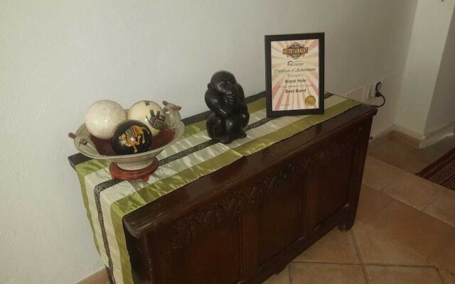 Ziggy's Mountain Retreat