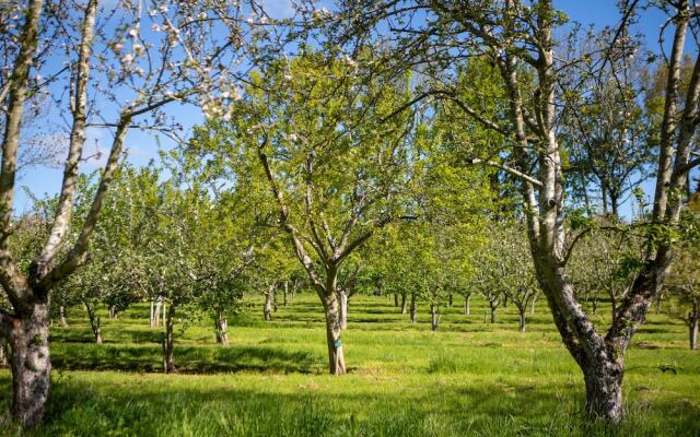 Dragon Orchard Retreat