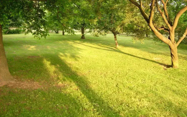 Schade´s Wohlfühlhotel