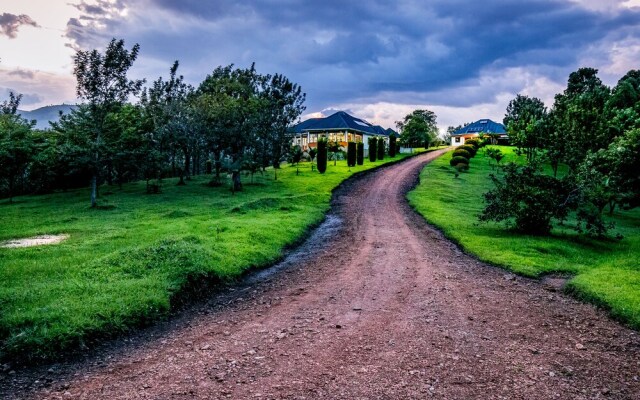 The Crested Crane Bwindi Hotel