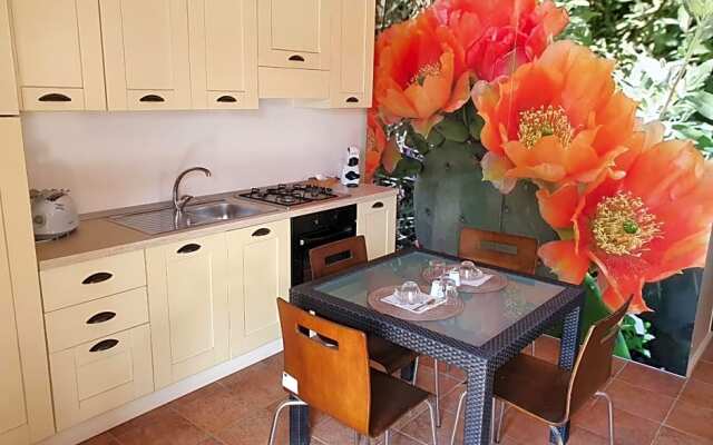 Agriturismo Il Tenimento B&B