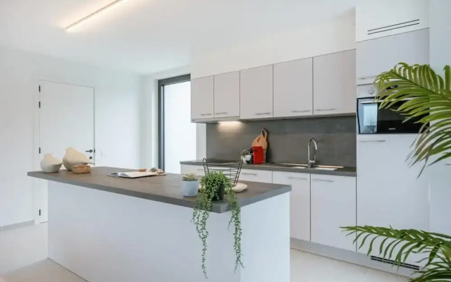 Apartment With two Large Terraces