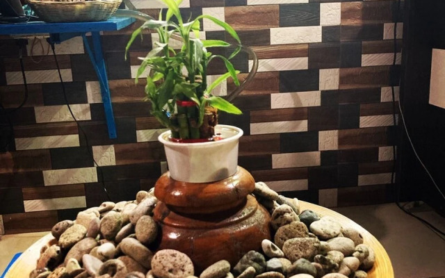 Dream Vision Guest House