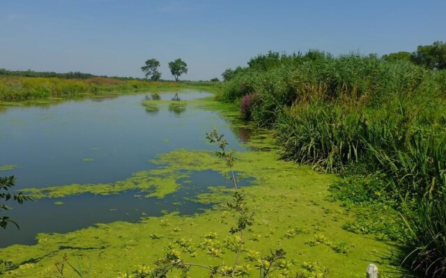 Le Mazet De Jean en Camargue