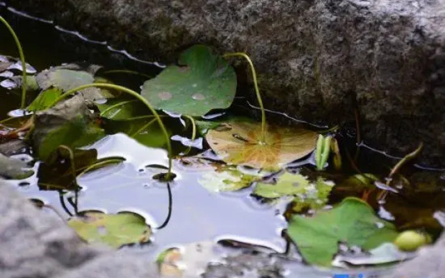 Beijing Yinian Private Tang B&B