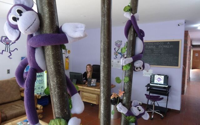 Purple Monkey Hostel