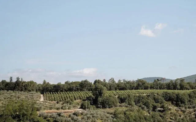 Soleevino B&B - Exclusively for Adults