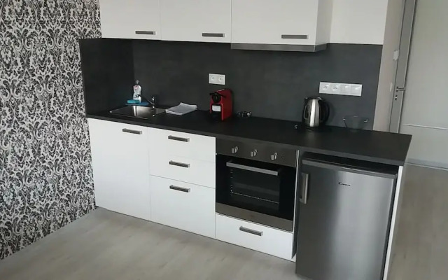 Litovelska apartment