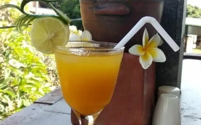 Asiana Lovina Hotel