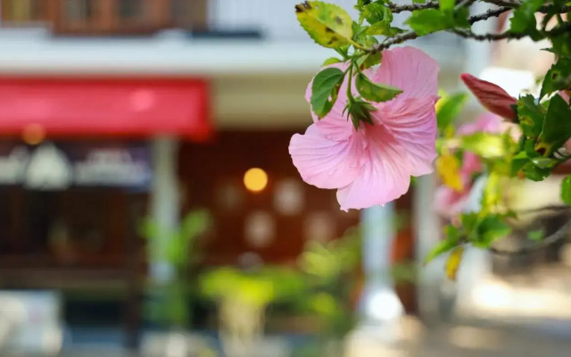 Wisdom Boutique Resort