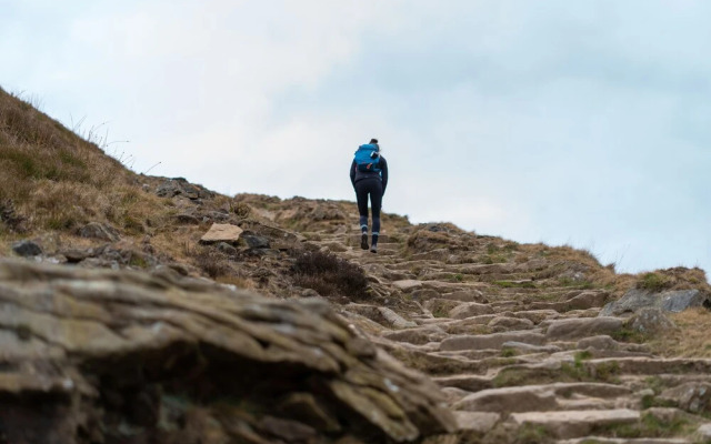 Become Wild, Edale