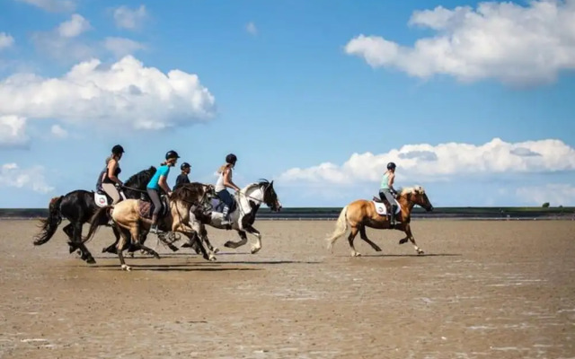 Ferienwohnung im Reetdachhaus auf der Pellworm