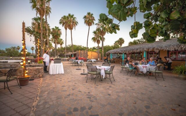 Hotel Oasis