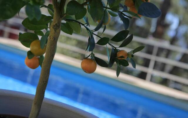 Le Mas des Ecureuils