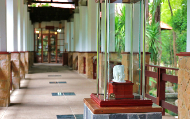 Sappraiwan Elephant Resort & Sanctuary