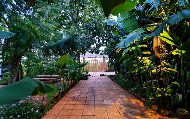 Homestay Bien Ho