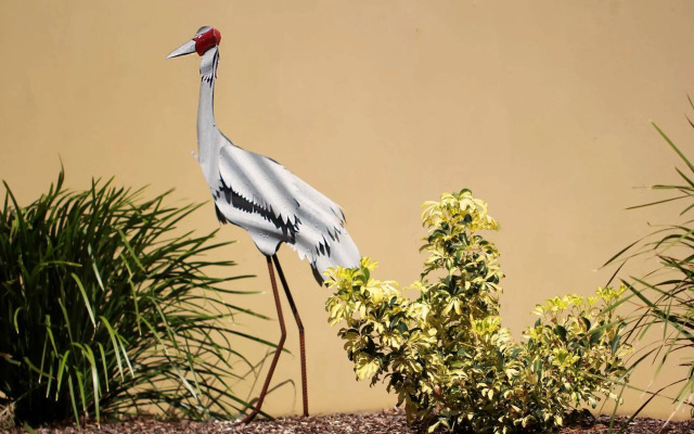 Motel in Nambour