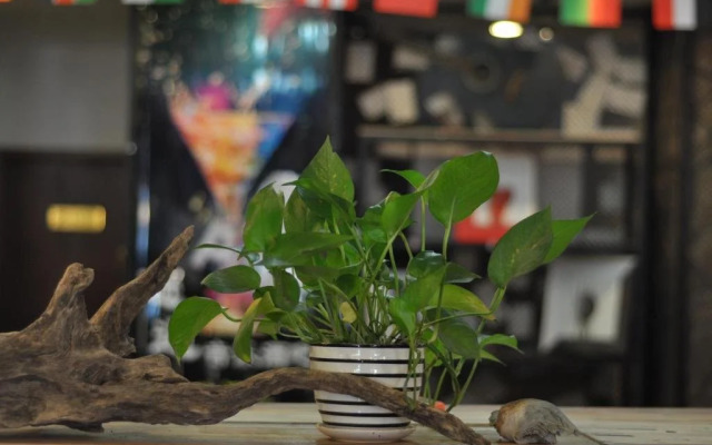 Qingdao Xiehou International Youth Hotel