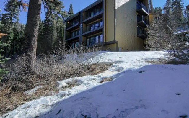 Alpine Meadows Condo