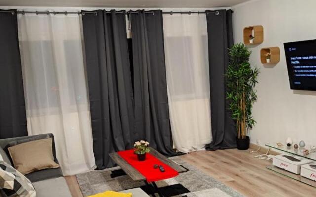 Magnifique Appartement Lille WIFI Parking by Servallgroup