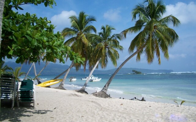 Hostel La Ballena Backpacker