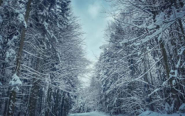 Ohana Boutique Hotel