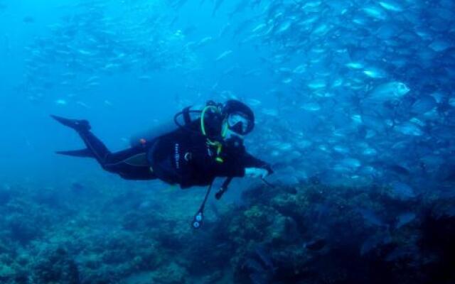 Buceo Anilao Beach & Dive Resort