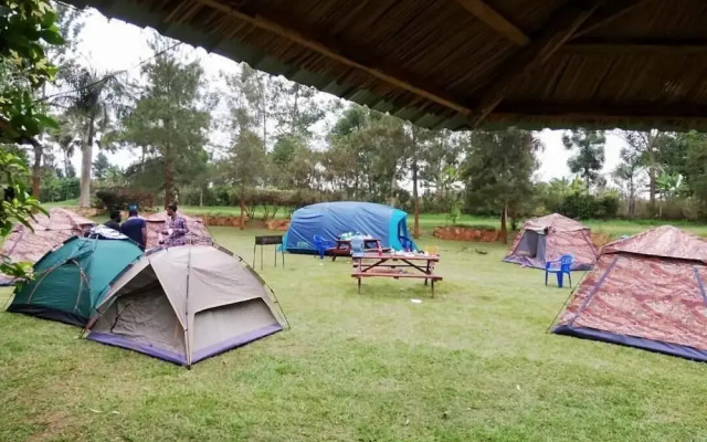 Nile Park - Campsite