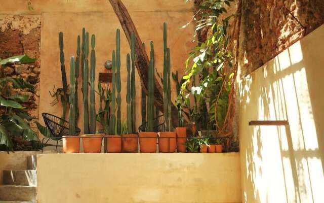 FIXIE LOFTS - Colonial Villa Suites with Pool