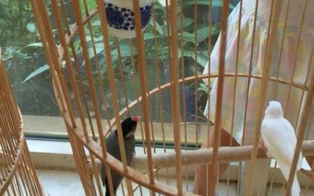 Haikou Hongheyuan Healthcare Holiday Hotel