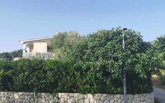 Pag Vlasici
