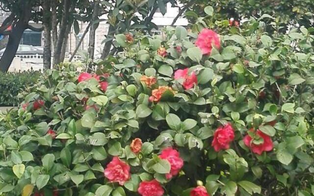 Oak Hotel (Changzhou Railway Station)