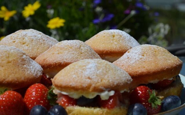 The Cove Guest House