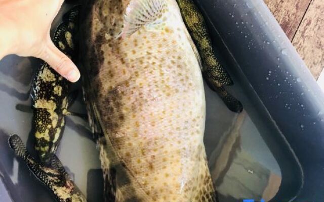 Coco Scuba Inn Semporna 2