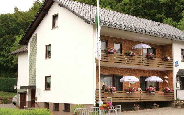 Pleasing Apartment in Dreislar Near Ski Area