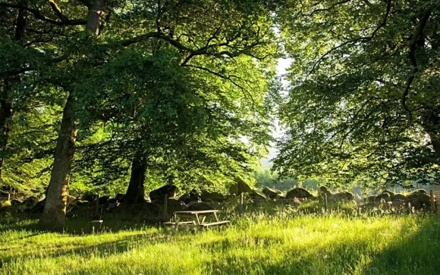 The Wicklow Escape