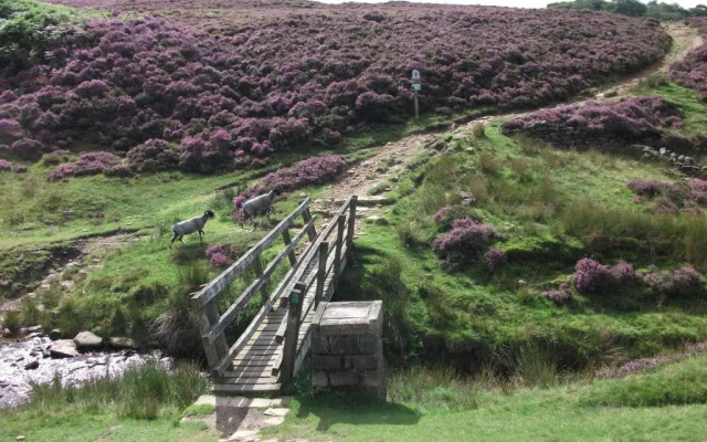 Lantern Pike Inn