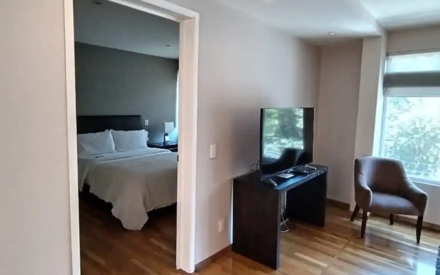 Arquimedes Light I Chic 1BR in Polanco