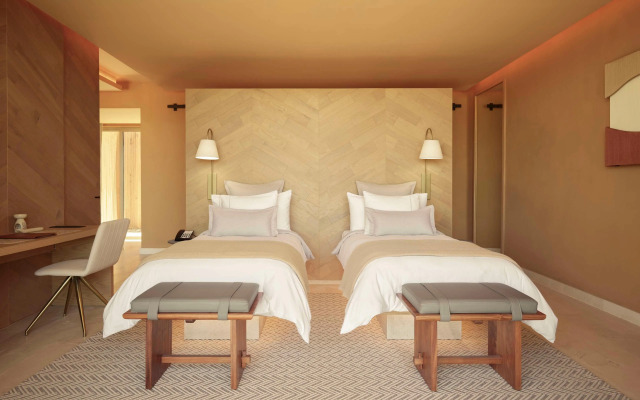 Banyan Tree Veya Valle De Guadalupe