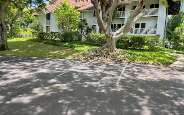 Quiet Kiahuna plantation , New Remodel with AC