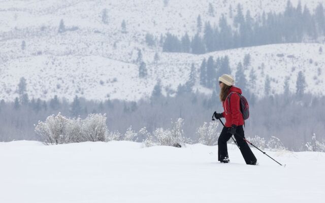 Casia Lodge and Ranch