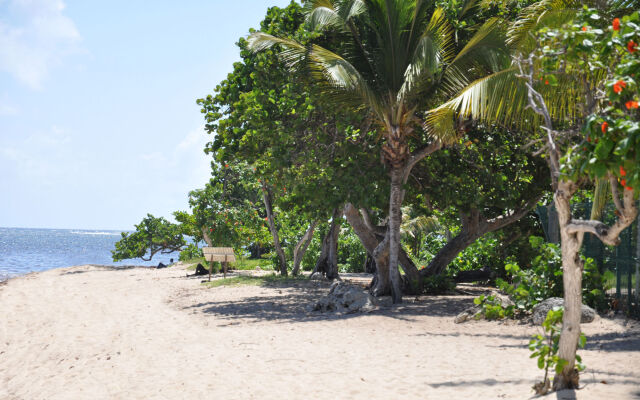 Résidence Tropicale