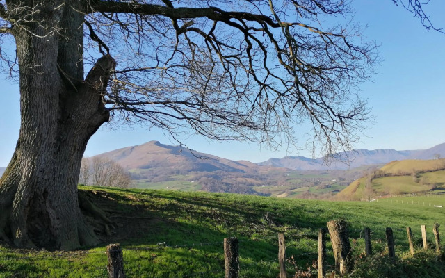 Logis Hotel Xoko-Goxoa