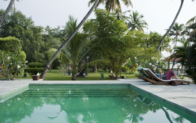 Purity at Lake Vembanad