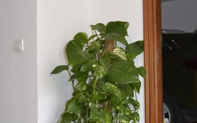 Apartamentos Quercus