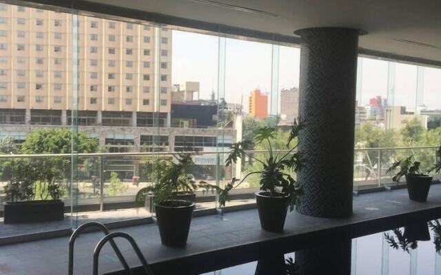 Cozy Apartment in Reforma Avenue