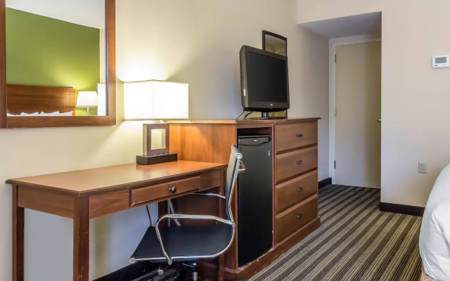 Quality Inn Flamingo